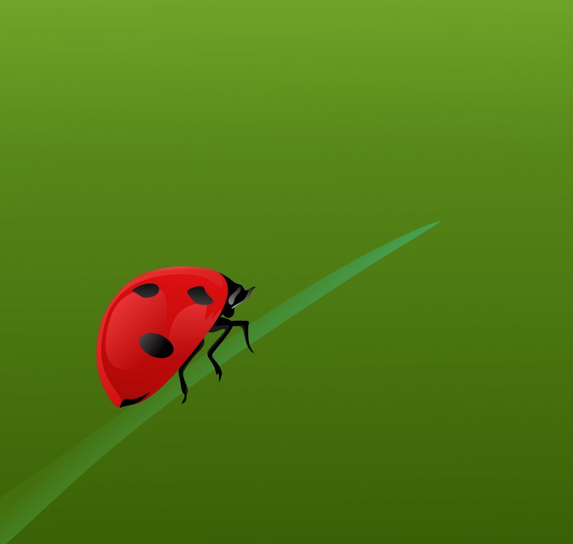 Beetle Close-up Pest Desktop Wallpaper Invertebrate, PNG, 1920x1822px, Beetle, Closeup, Computer, Grass, Insect Download Free