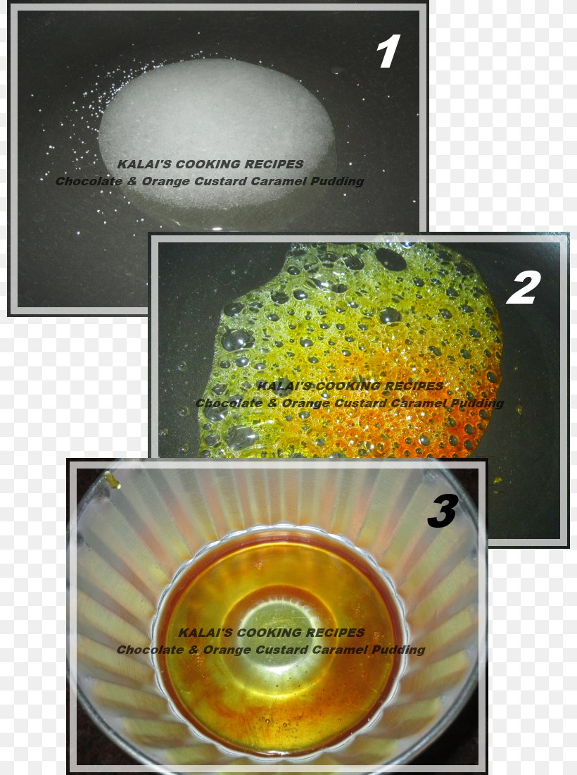 Compact Disc Organism, PNG, 800x1100px, Compact Disc, Organism, Yellow Download Free