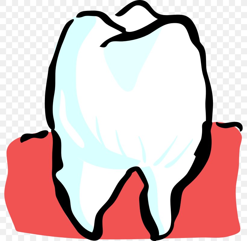 Human Tooth Pediatric Dentistry Clip Art, PNG, 800x800px, Tooth, Artwork, Black, Black And White, Bridge Download Free