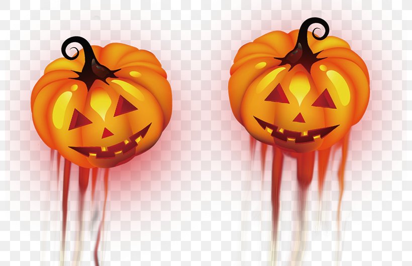 Pumpkin Halloween Jack-o-lantern, PNG, 800x530px, Pumpkin, Calabaza, Ghost, Ghost Festival, Halloween Download Free