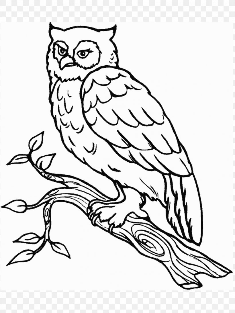 Snowy Owl Coloring Book Bird Barn Owl, PNG, 1501x2000px, Owl, Adult, Art, Artwork, Barn Owl Download Free