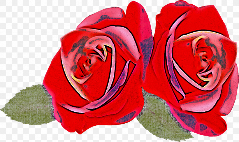 Two Flowers Two Roses Valentines Day, PNG, 1024x609px, Two Flowers, China Rose, Cut Flowers, Floribunda, Flower Download Free