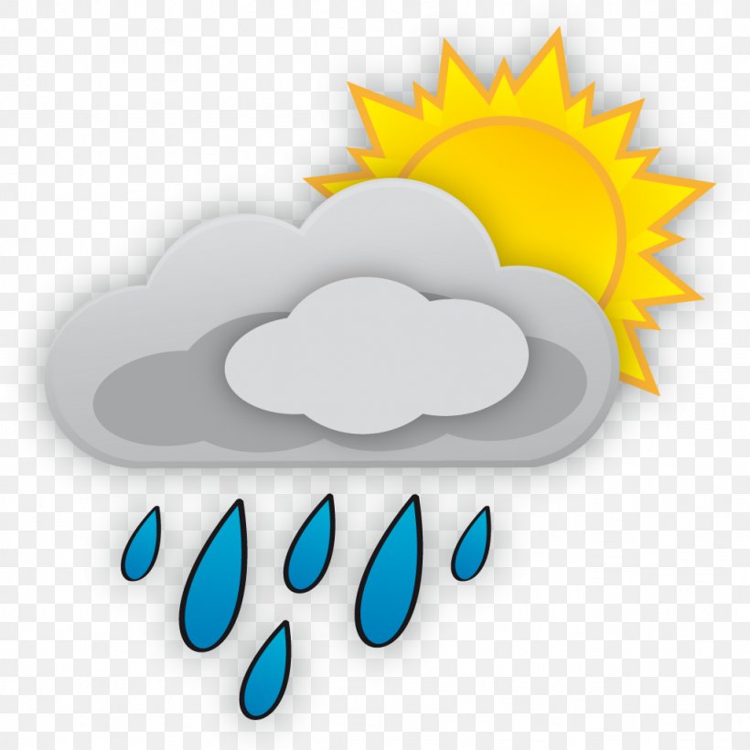 Weather Forecasting Cloudburst Meteorology Climate, PNG, 1024x1024px, Weather, Climate, Cloudburst, Flower, Forecasting Download Free