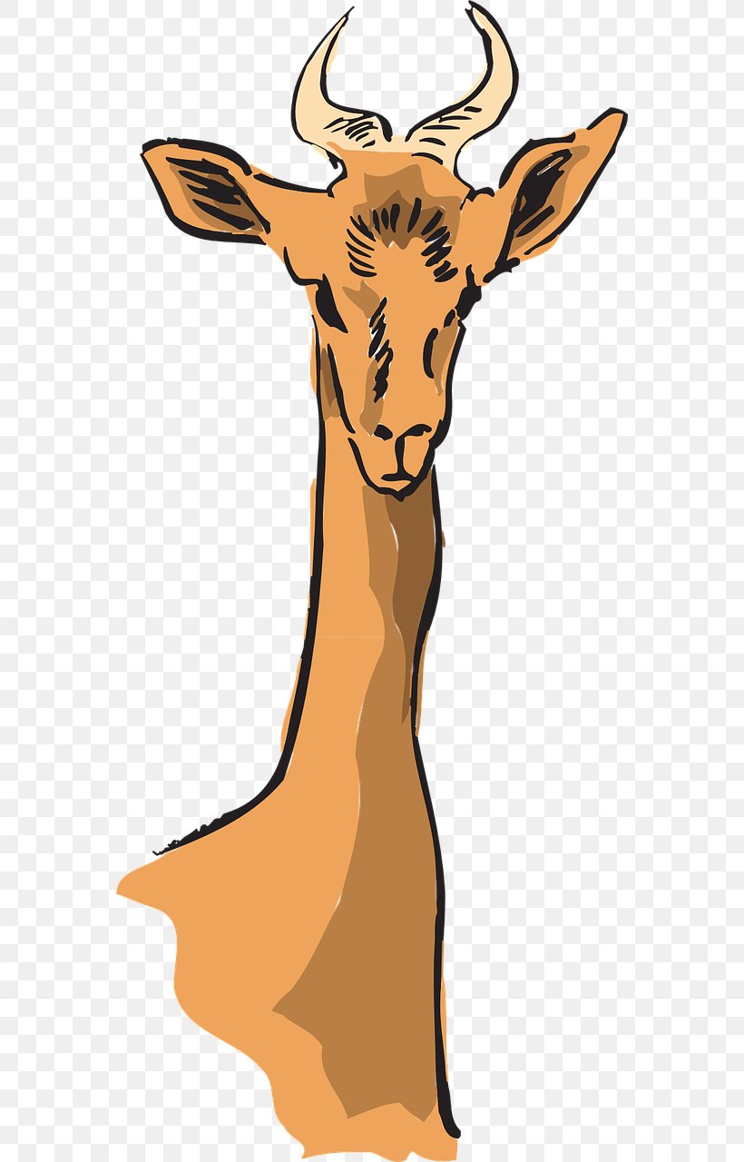 Antelope Giraffe Deer Impala Clip Art, PNG, 640x1280px, Antelope, Animal, Animal Figure, Antler, Deer Download Free
