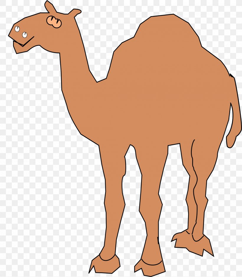 Dromedary Clip Art, PNG, 2090x2400px, Dromedary, Animal Figure, Animation, Arabian Camel, Blog Download Free
