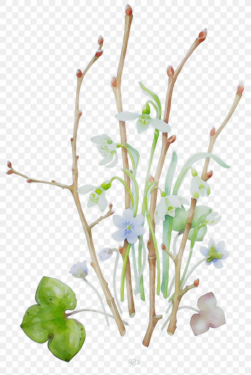 Twig Plant Stem Floral Design Aquarium, PNG, 1130x1689px, Twig, Aquarium, Aquarium Decor, Botany, Branch Download Free