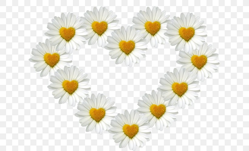 Wedding Floristry Photography Photographer Marriage, PNG, 650x498px, Wedding, Author, Camomile, Chamaemelum Nobile, Chamomile Download Free