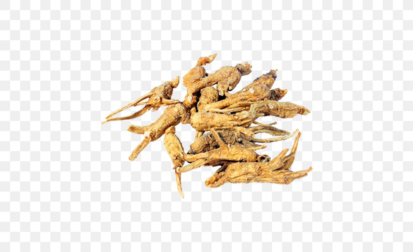 Female Ginseng American Ginseng Chinese Herbology Extract, PNG, 500x500px, Female Ginseng, American Ginseng, Animal Source Foods, Caterpillar Fungus, Chinese Herbology Download Free