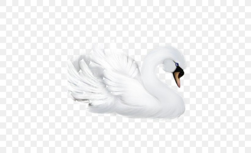 Goose Bird Duck Mute Swan Cygnini, PNG, 500x500px, Goose, Beak, Bird, Cygnini, Duck Download Free