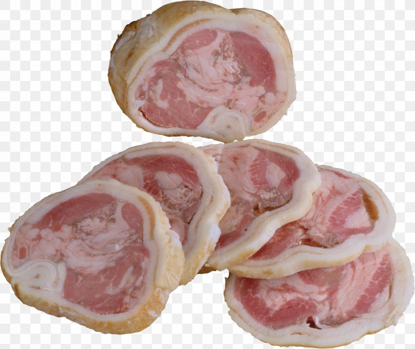 Ham Bacon Soppressata Sausage Salami, PNG, 3107x2616px, Ham, Animal Fat, Animal Source Foods, Back Bacon, Bacon Download Free