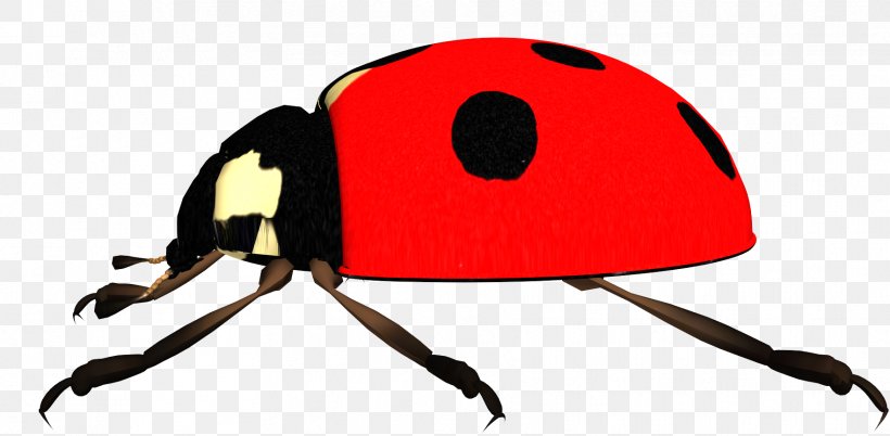 Ladybird Clip Art, PNG, 1762x864px, Ladybird, Beetle, Coccinella Septempunctata, Display Resolution, Drawing Download Free