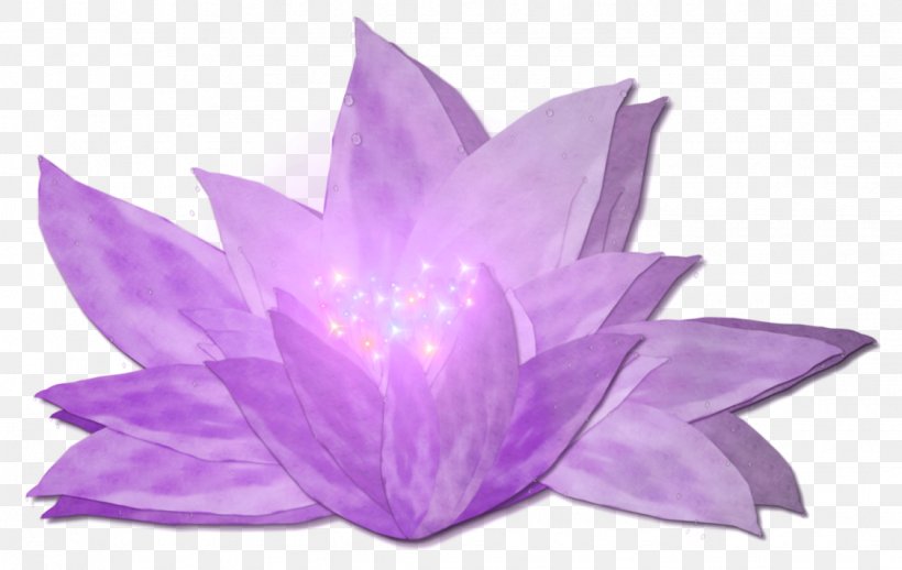 Nelumbo Nucifera Flower Lilium Clip Art, PNG, 1124x711px, Nelumbo Nucifera, Flower, Lilac, Lilium, Petal Download Free