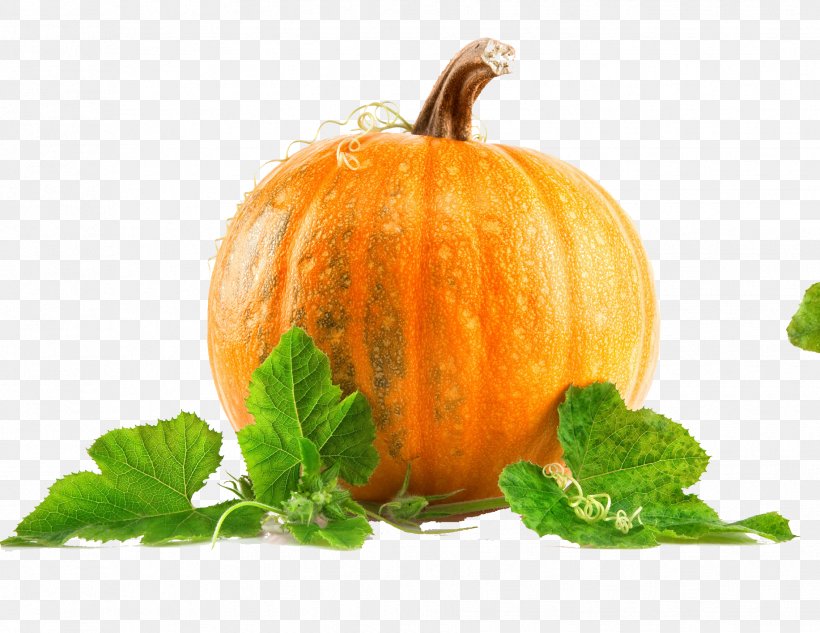 Pumpkin Pie Health Pumpkin Seed Nutrition, PNG, 1833x1416px, Pumpkin Pie, Calabaza, Cucumber Gourd And Melon Family, Cucurbita, Eating Download Free