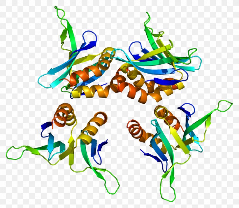 SUB1 Fusion Protein Gene Nucleolin, PNG, 1026x891px, Protein, Area, Artwork, Coactivator, Fusion Protein Download Free
