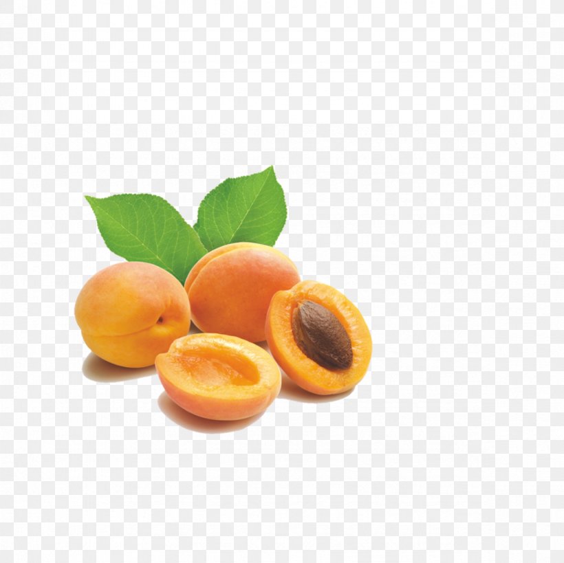 Apricot Kernel Amygdalin Almond Nut, PNG, 1181x1181px, Apricot, Almond, Amygdalin, Apricot Kernel, Apricot Oil Download Free