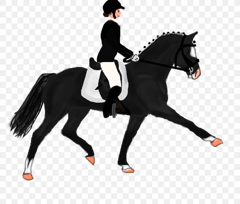 Dressage Stallion Mustang Hunt Seat Rein, PNG, 800x697px, Dressage, Animal Sports, Animal Training, Bit, Bridle Download Free