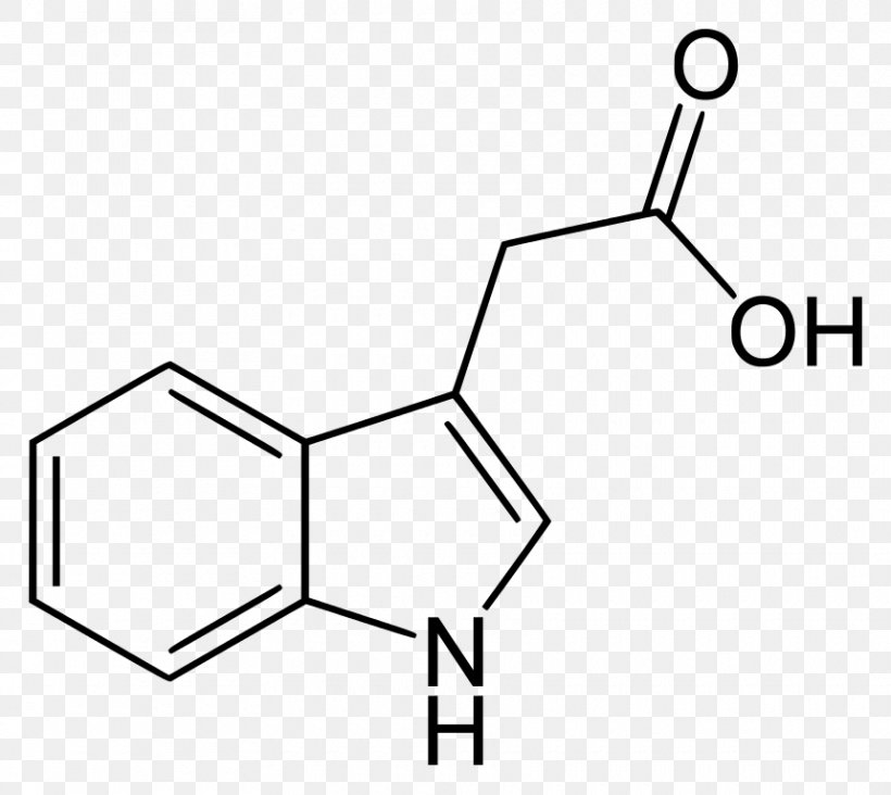 Indole-3-acetic Acid Indole-3-butyric Acid Auxin Plant Hormone, PNG, 860x768px, Watercolor, Cartoon, Flower, Frame, Heart Download Free