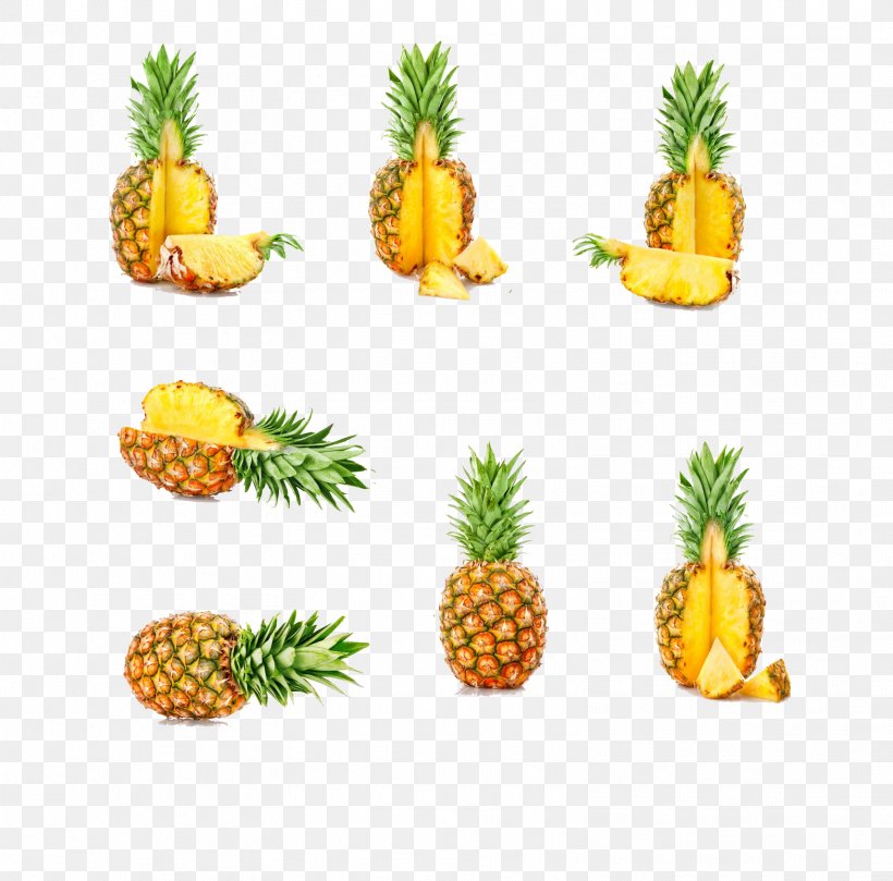 Juice Pineapple Salsa Fruit Bromelain, PNG, 1569x1548px, Juice, Ananas, Apple, Bromelain, Bromeliaceae Download Free