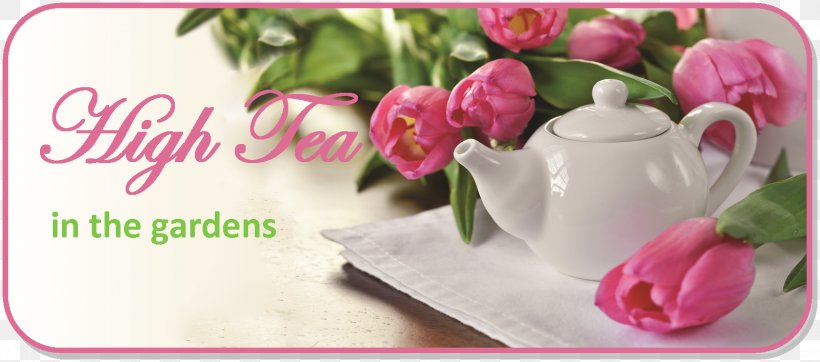 Teapot Boulder Stock Photography, PNG, 1599x706px, Teapot, Alamy, Boulder, Cut Flowers, Floral Design Download Free