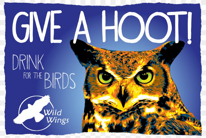 True Owl Eastern Screech Owl Great Grey Owl Animal, PNG, 1646x1104px, True Owl, Advertising, Animal, Beak, Bird Of Prey Download Free
