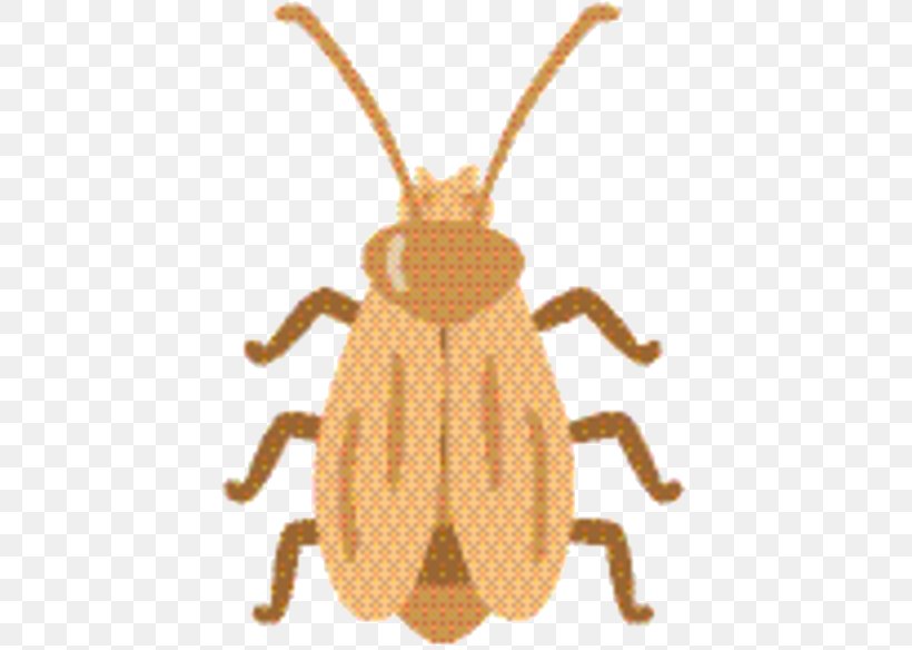 Weevil Beetle Pest Pattern Pollinator, PNG, 433x584px, Weevil, Animal Figure, Beetle, Blister Beetles, Darkling Beetles Download Free