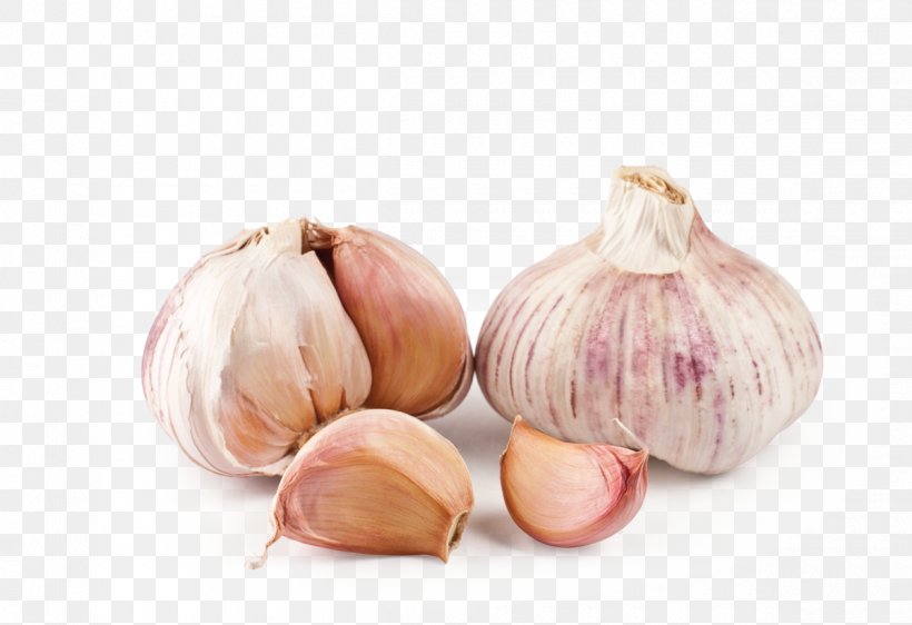 Elephant Garlic Shallot Mediterranean Cuisine Vegetable, PNG, 1200x823px, Garlic, Allicin, Allium, Allium Scorodoprasum, Elephant Garlic Download Free