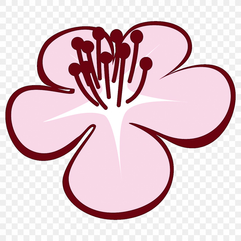 Plum Blossoms Plum Winter Flower, PNG, 1200x1200px, Plum Blossoms, Flower, Hibiscus, Mallow Family, Petal Download Free