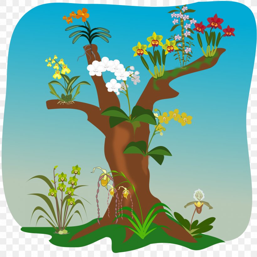 Tree Orchids Clip Art, PNG, 2400x2400px, Tree, Branch, Cartoon, Dendrobium, Flora Download Free