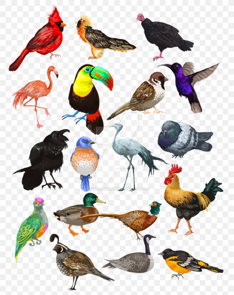 Artist Illustration DeviantArt Work Of Art, PNG, 774x1032px, Art, Artist, Beak, Bird, Chicken Download Free