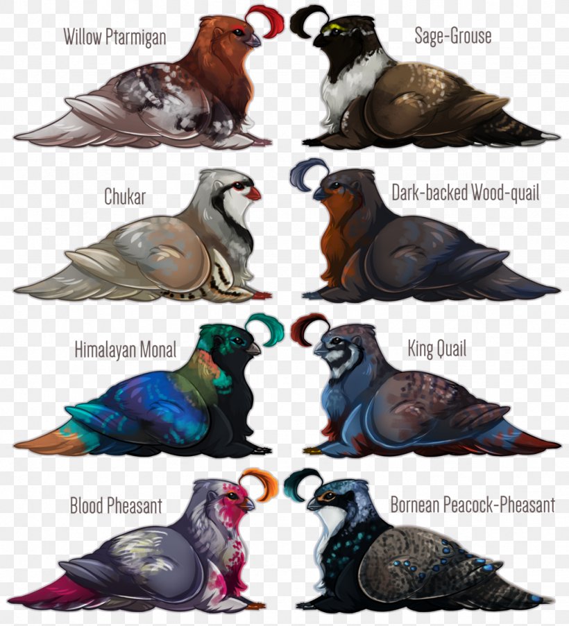 Beak Fauna Feather, PNG, 1024x1128px, Beak, Bird, Fauna, Feather, Organism Download Free