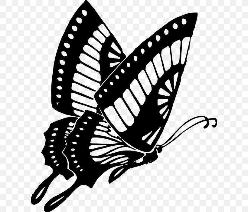 Butterfly Black And White Insect Clip Art, PNG, 616x700px, Butterfly, Arthropod, Black And White, Brush Footed Butterfly, Butterflies And Moths Download Free