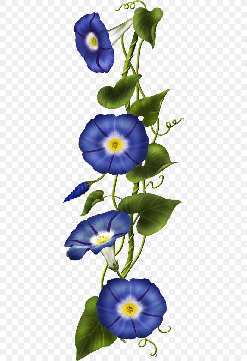 Clip Art Image Vector Graphics Flower, PNG, 408x1200px, Flower, Balloon Flower, Beach Moonflower, Blue, Botany Download Free