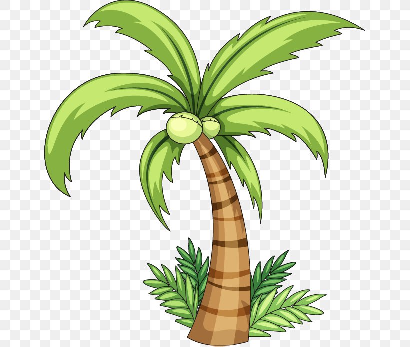 Coconut Arecaceae Clip Art, PNG, 641x694px, Coconut, Arecaceae, Arecales, Blog, Drawing Download Free