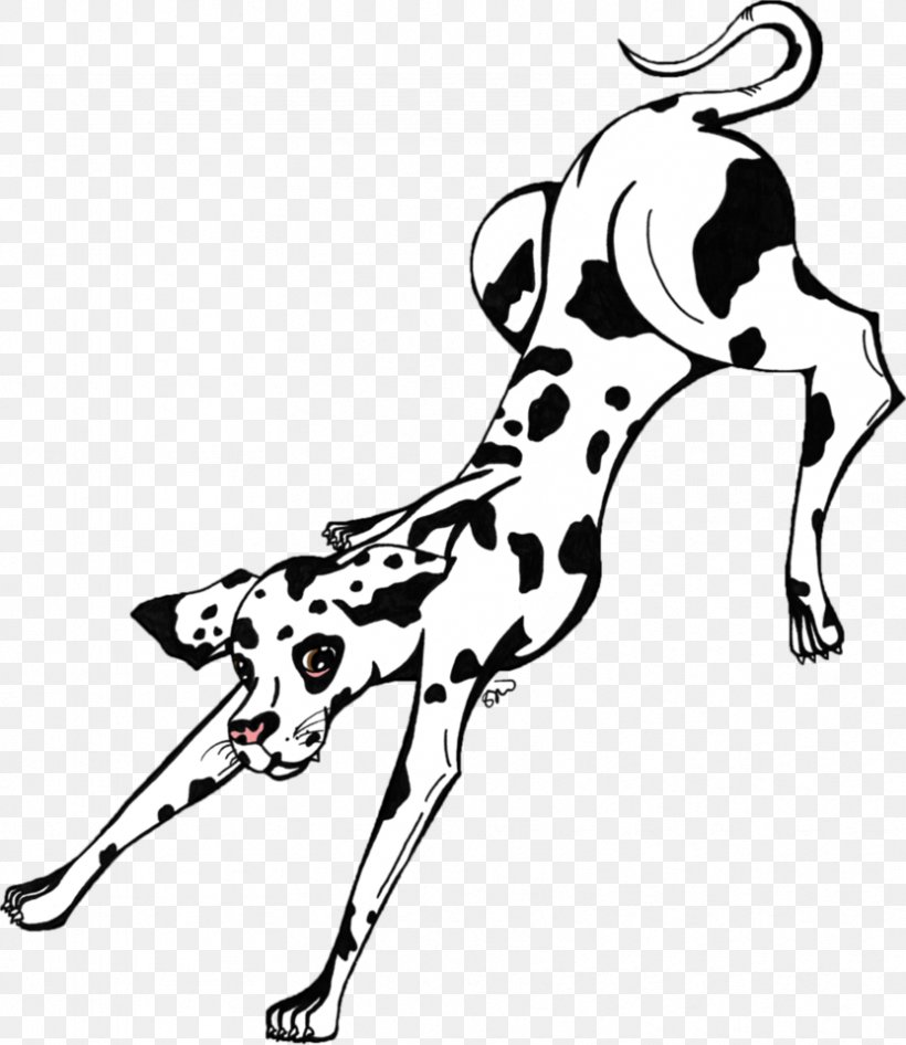 Dalmatian Dog Dog Breed Great Dane Puppy Non-sporting Group, PNG, 832x960px, Dalmatian Dog, Art, Artwork, Black And White, Breed Download Free