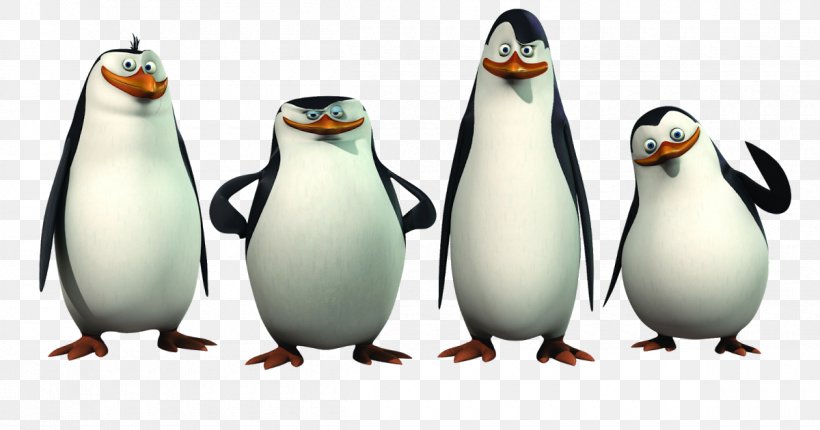 Kowalski Skipper Penguin Charming Villain Madagascar, PNG, 1200x630px, Kowalski, Beak, Bird, Charming Villain, Dreamworks Animation Download Free