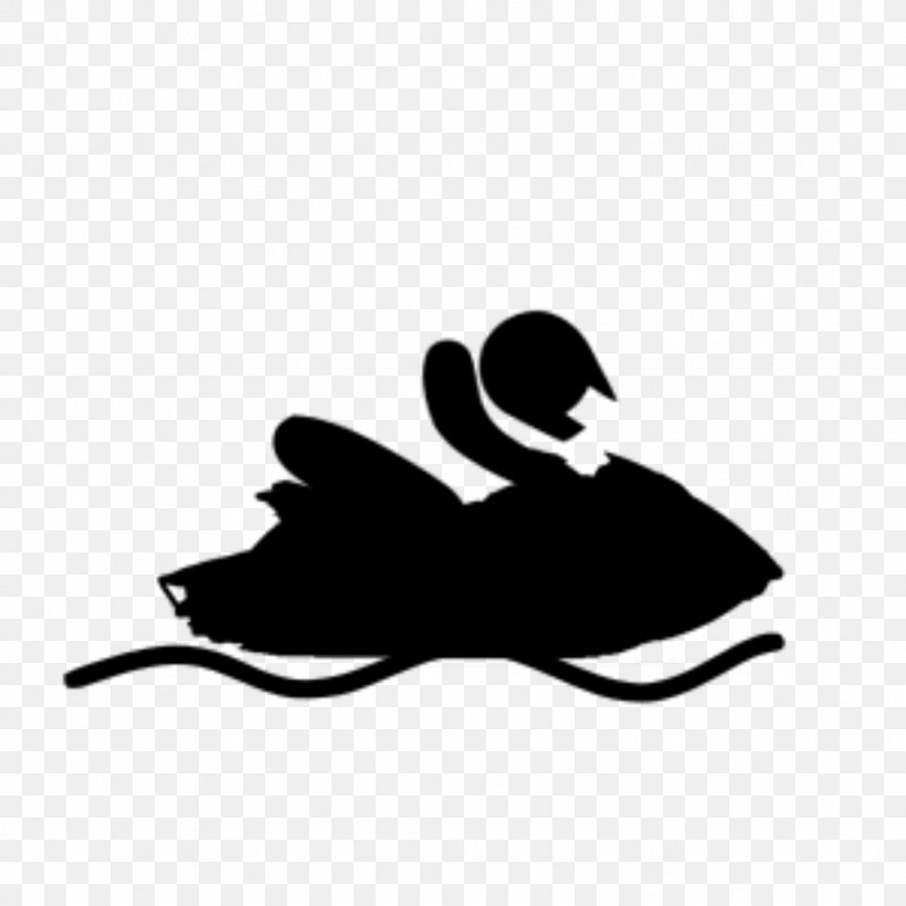 2018 Asian Games 2008 Asian Beach Games Personal Water Craft Jet Ski Sport, PNG, 1024x1024px, Personal Water Craft, Asian Beach Games, Beak, Bird, Black Download Free