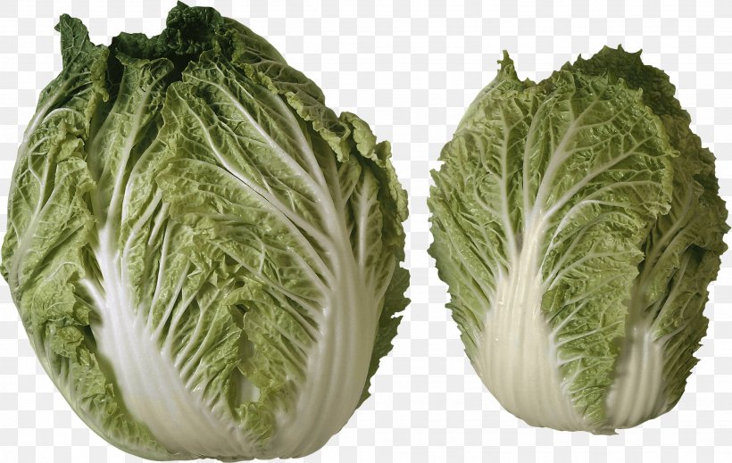 Israeli Salad Vegetable Cabbage, PNG, 2028x1284px, Cabbage, Brassica Oleracea, Cauliflower, Chinese Cabbage, Collard Greens Download Free