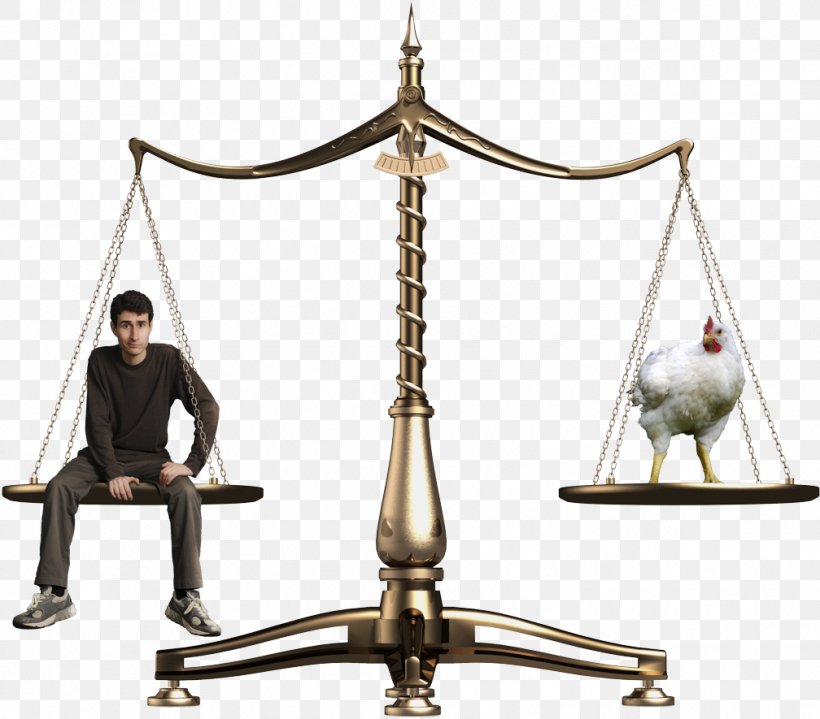 Justice Measuring Scales Respect Inlay Film, PNG, 1008x885px, Justice, Balance, Compassion, Film, Inlay Download Free