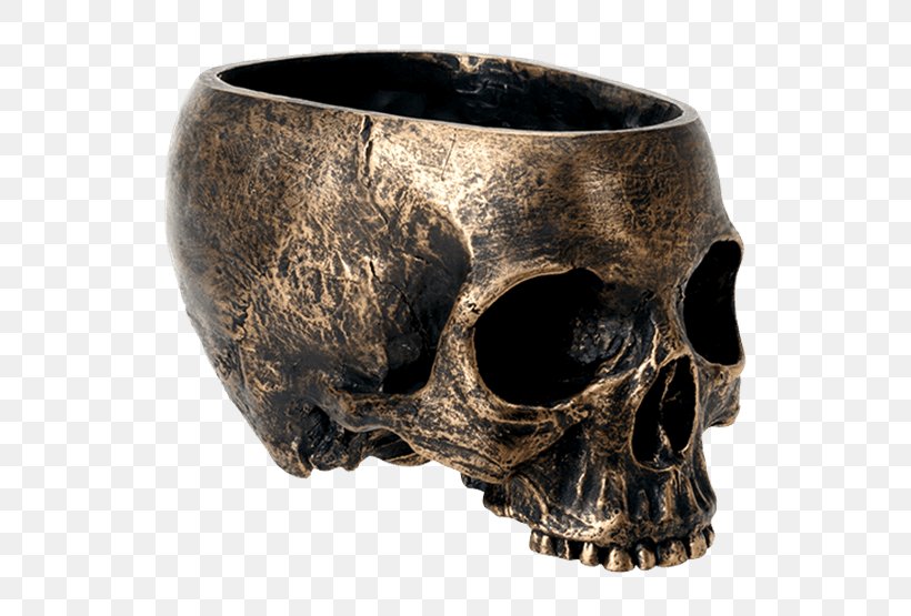Skull Bowl Skeleton Dish Tableware, PNG, 555x555px, Skull, Artifact, Bone, Bowl, Candy Download Free