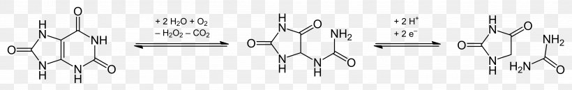 Hydantoin Condensation Reaction Heterocyclic Compound Lactam, PNG, 4853x769px, Hydantoin, Allantoin, Amide, Amine, Black Download Free