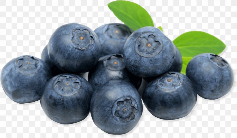 Juice European Blueberry Fruit, PNG, 1613x941px, Juice, Berry, Bilberry, Blueberry, European Blueberry Download Free