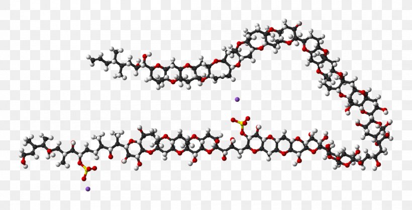 Maitotoxin Space-filling Model Nuclear Magnetic Resonance Spectroscopy Wikimedia Commons Molecule, PNG, 1100x563px, Maitotoxin, Area, Ballandstick Model, Body Jewelry, Chemical Formula Download Free
