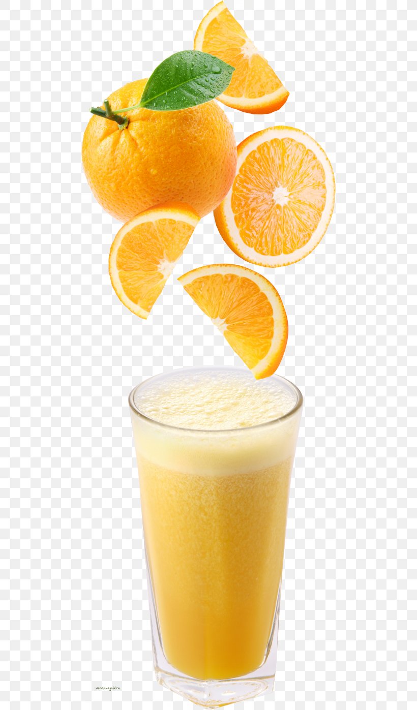 Orange Juice Cocktail Sangria Orange Drink, PNG, 500x1397px, Orange Juice, Citric Acid, Citrus Xd7 Sinensis, Cocktail, Drink Download Free