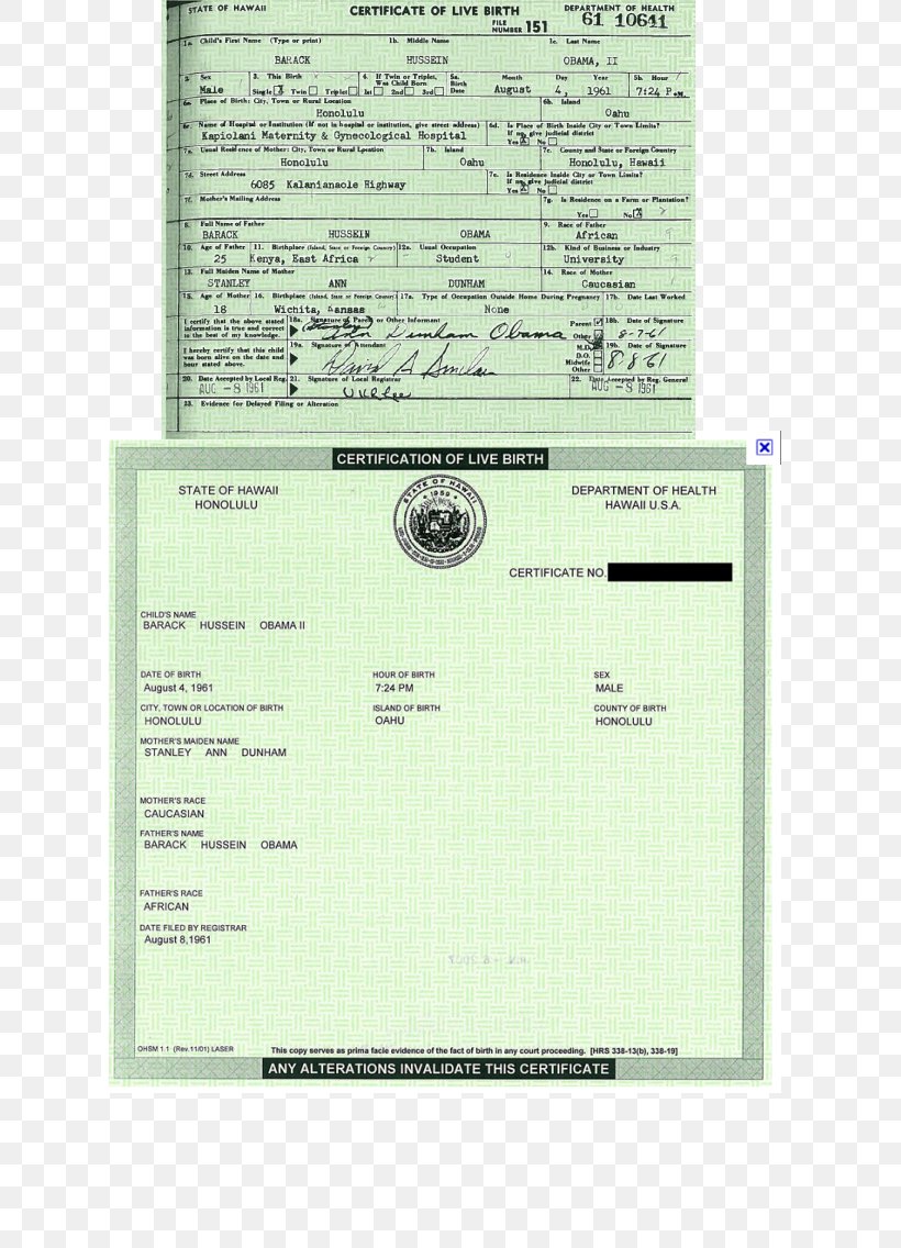 United States Barack Obama Citizenship Conspiracy Theories Birth Certificate Vital Record, PNG, 638x1136px, United States, Barack Obama, Birth, Birth Certificate, Death Download Free