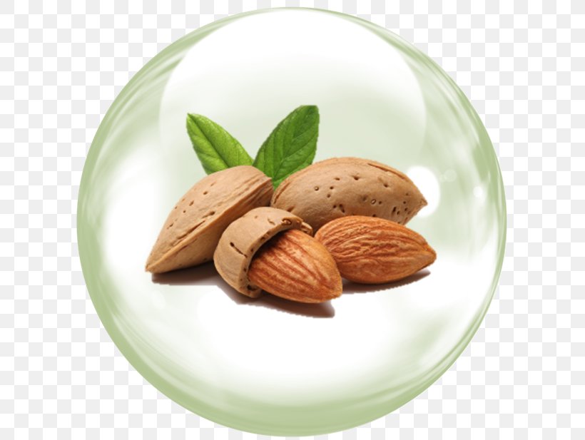Almond Oil Flavor Food Health, PNG, 629x617px, Almond, Almond Oil, Berry, Coconut Oil, Dried Fruit Download Free