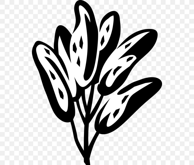 Clip Art Vector Graphics Illustration Image, PNG, 550x700px, Royalty Payment, Blackandwhite, Botany, Coloring Book, Coolclipscom Download Free