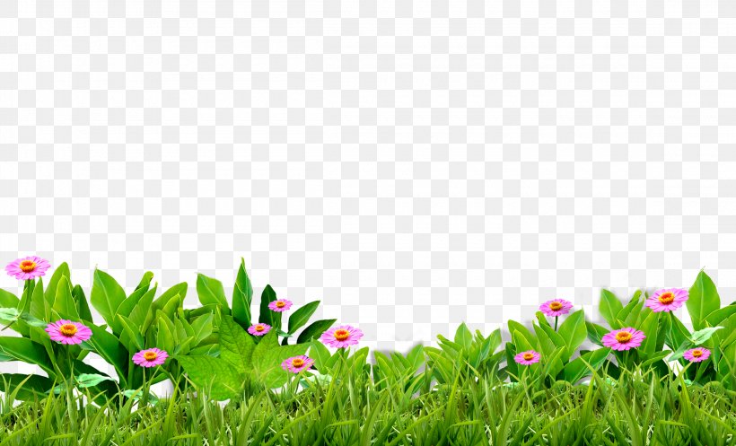 Green Grass, PNG, 2300x1395px, Flower, Computer Graphics, Field, Flora, Flowering Plant Download Free