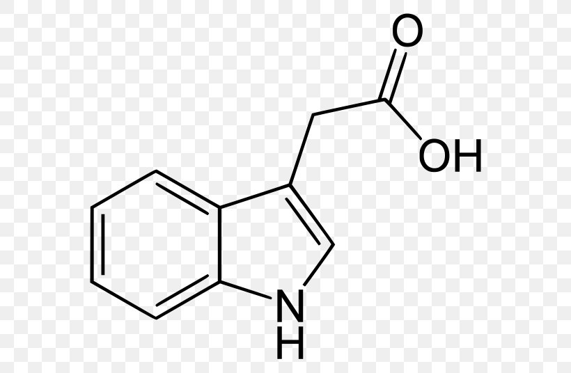 Indole-3-acetic Acid Indole-3-butyric Acid Auxin, PNG, 600x536px, 4chloroindole3acetic Acid, Indole3acetic Acid, Acetic Acid, Acid, Area Download Free