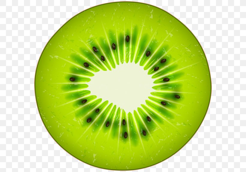 Kiwifruit Clip Art, PNG, 600x573px, Kiwifruit, Art, Close Up, Fruit, Green Download Free