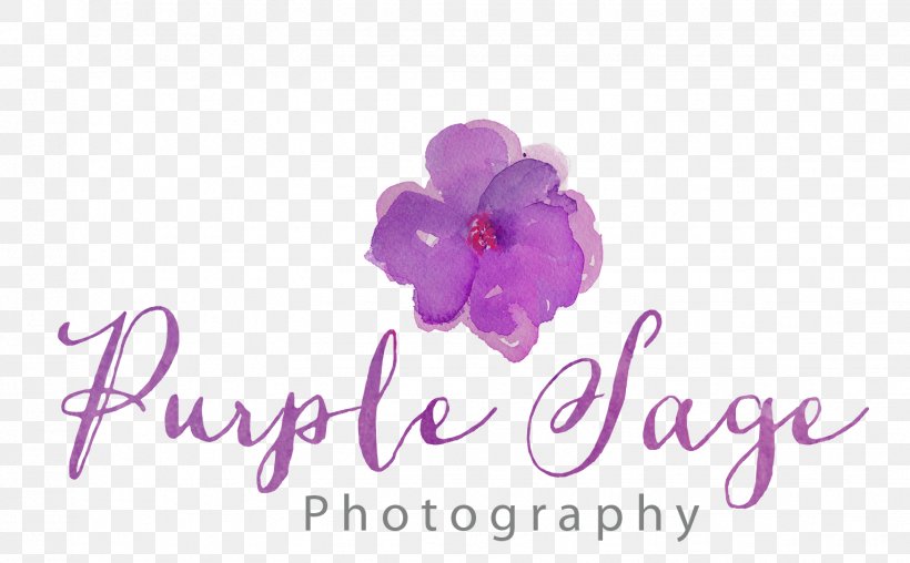Purple Sage Photography Portrait Photography, PNG, 1531x950px, Portrait, Couple, Cut Flowers, Elopement, Engagement Download Free